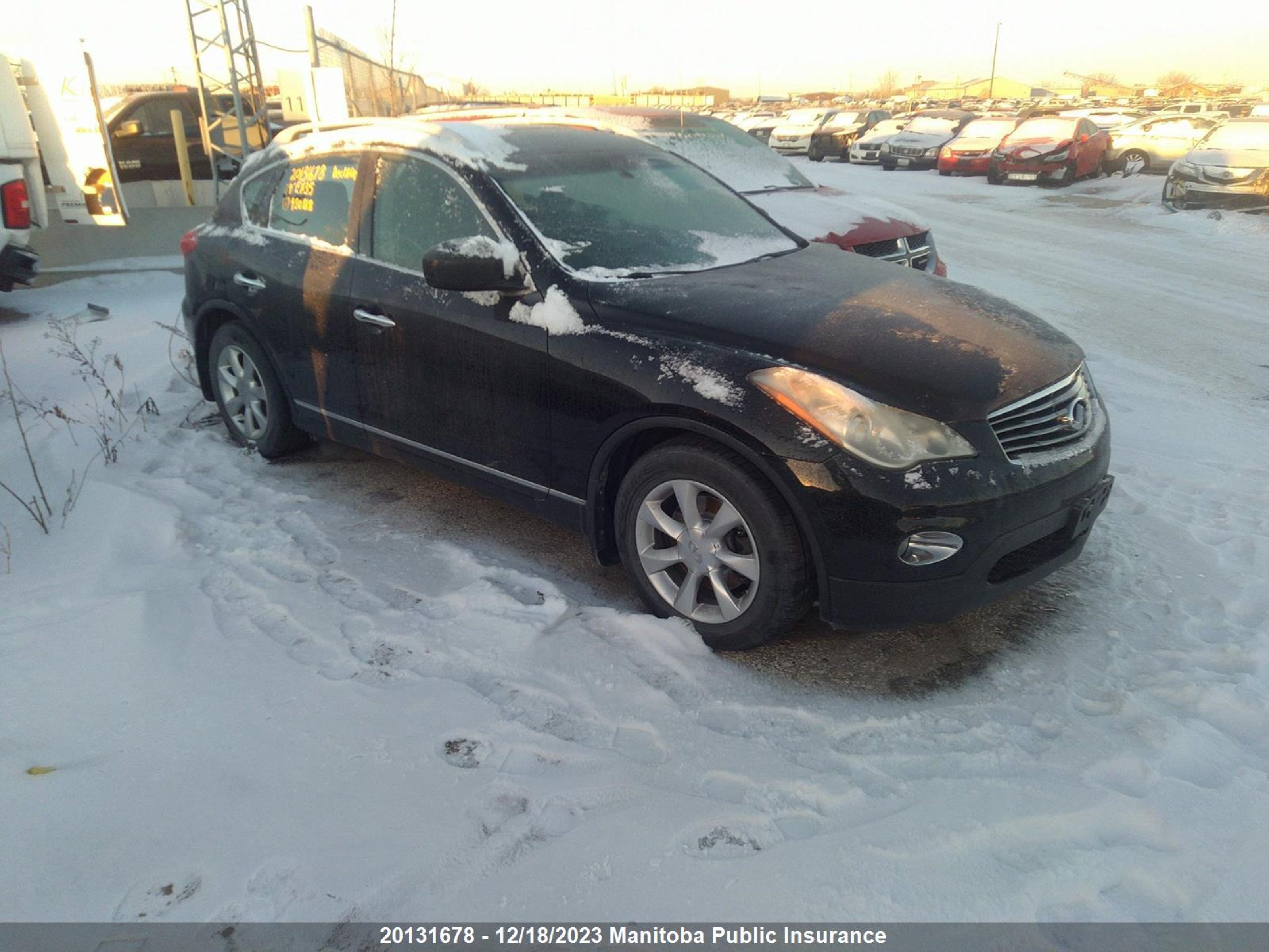 INFINITI EX 2009 jnkaj09f39m950818