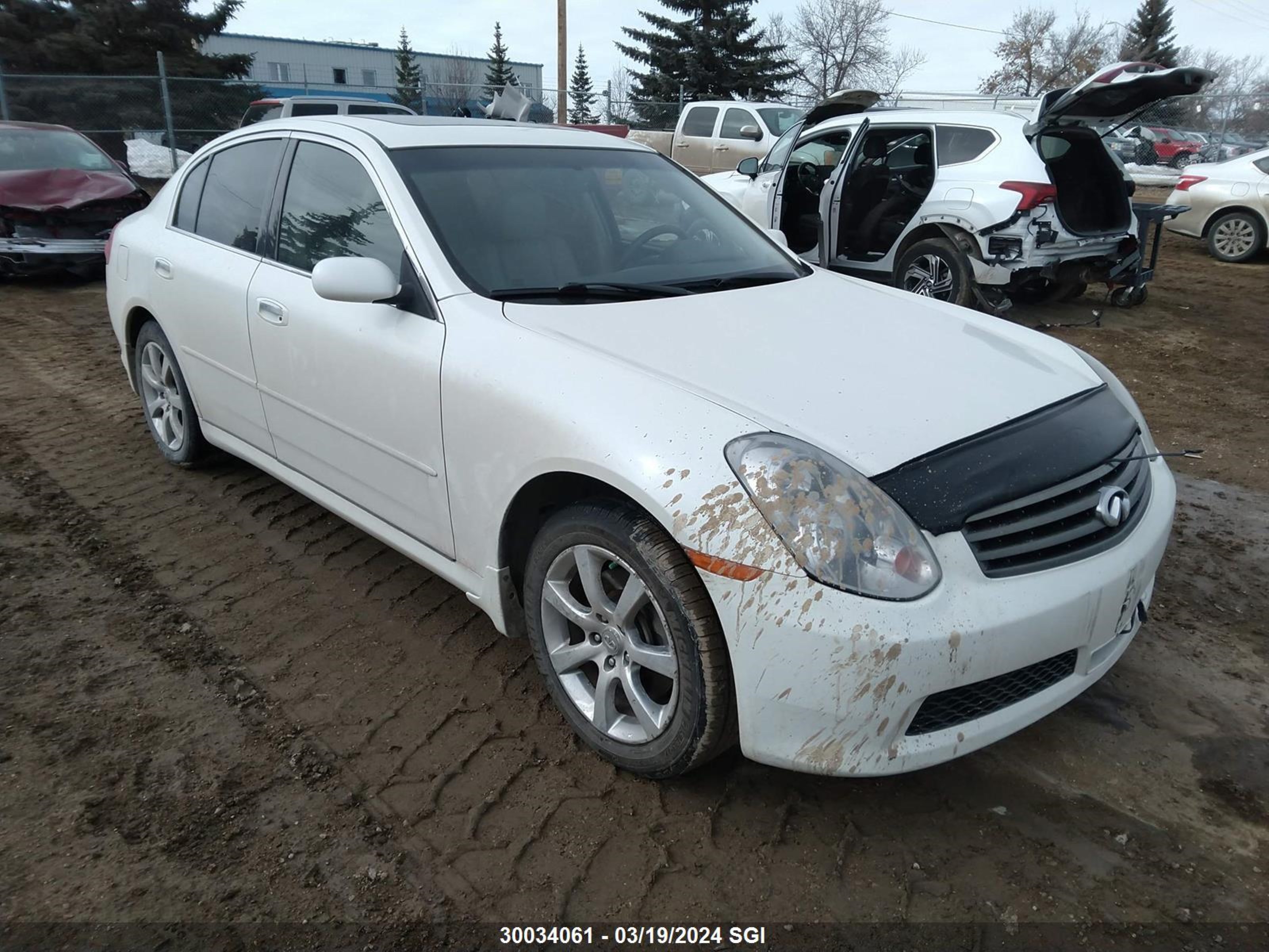 INFINITI G 2006 jnkcv51f56m613682