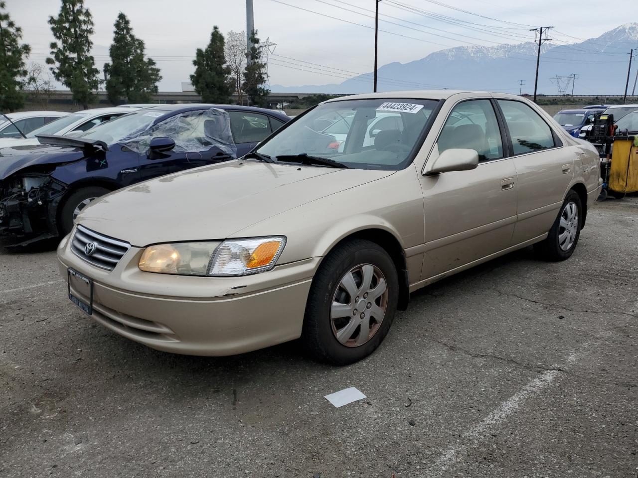 TOYOTA CAMRY 2001 jt2bg22k010565647