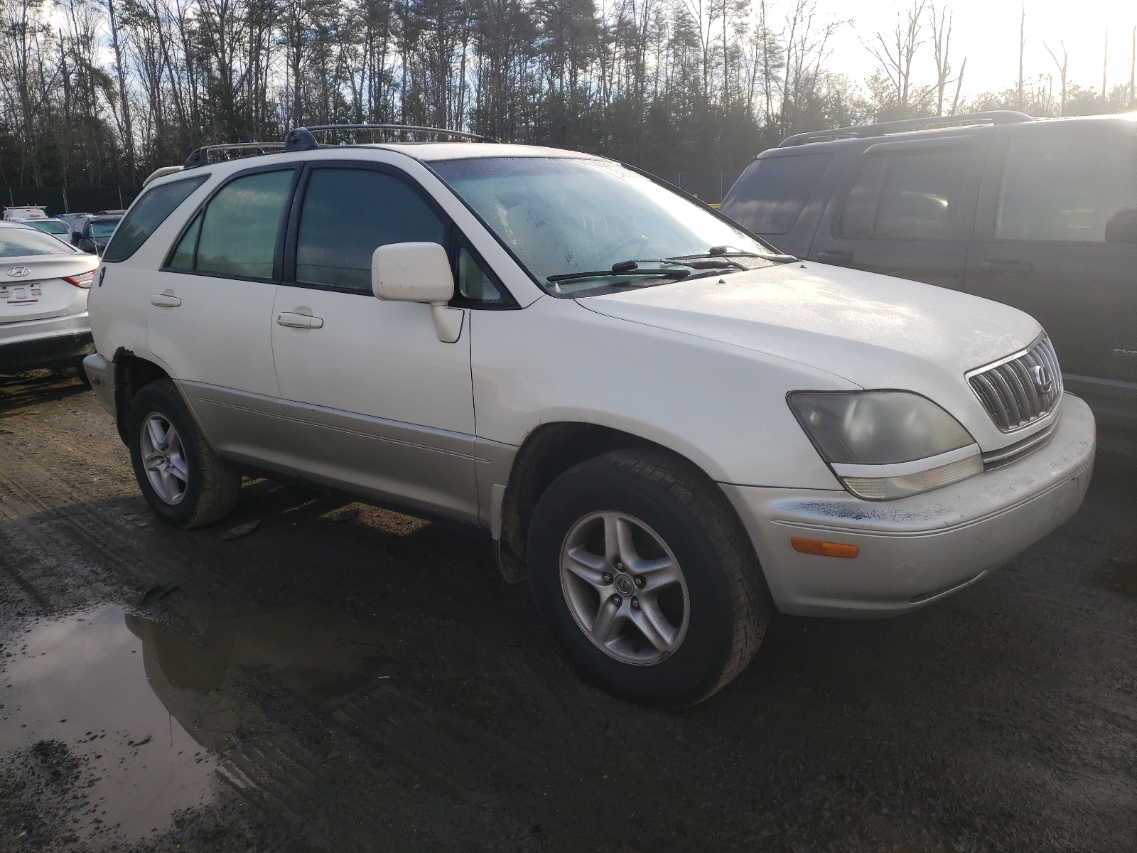 LEXUS RX 300 1999 jt6hf10u1x0087936