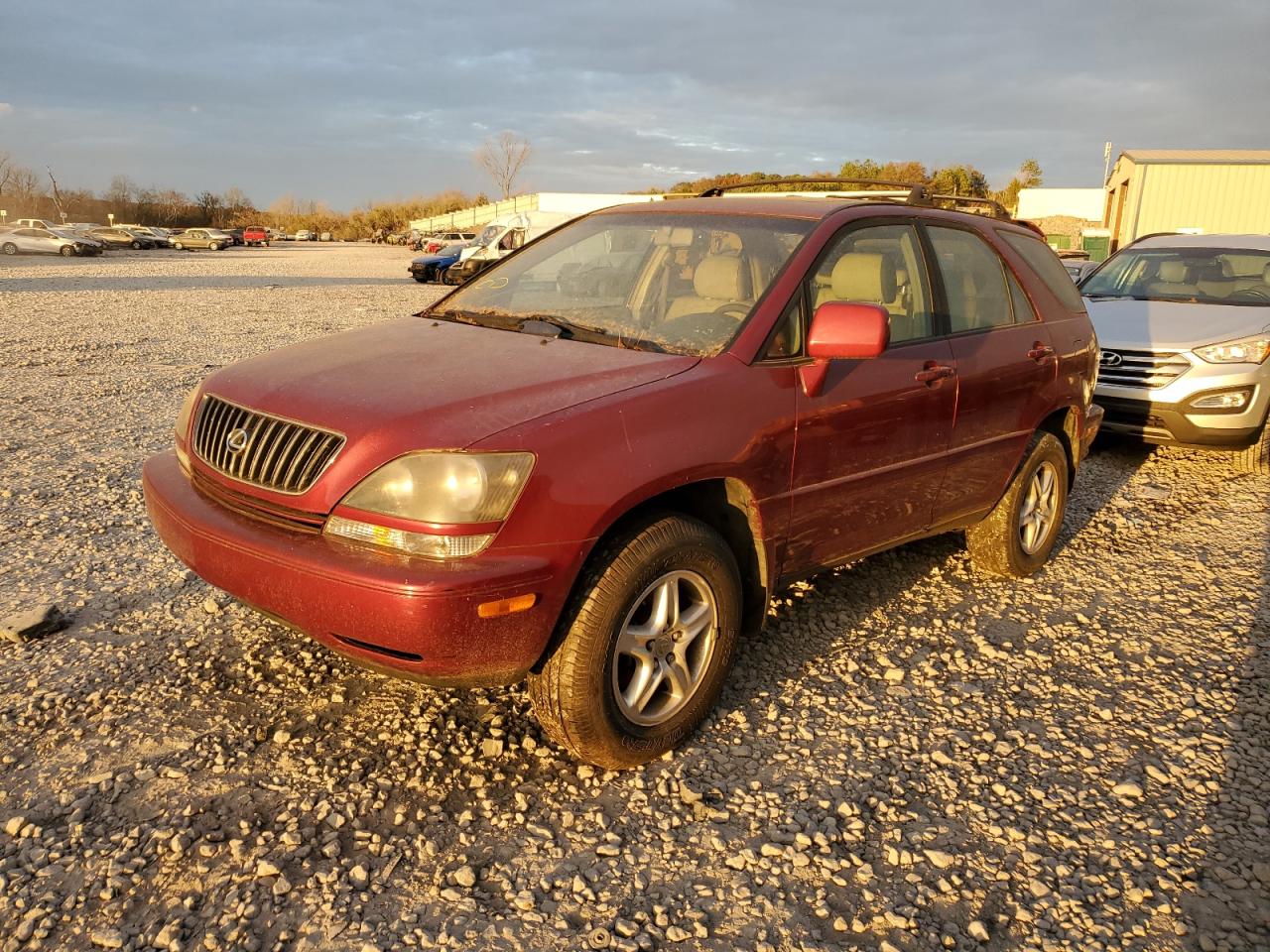 LEXUS RX 1999 jt6hf10u3x0034798