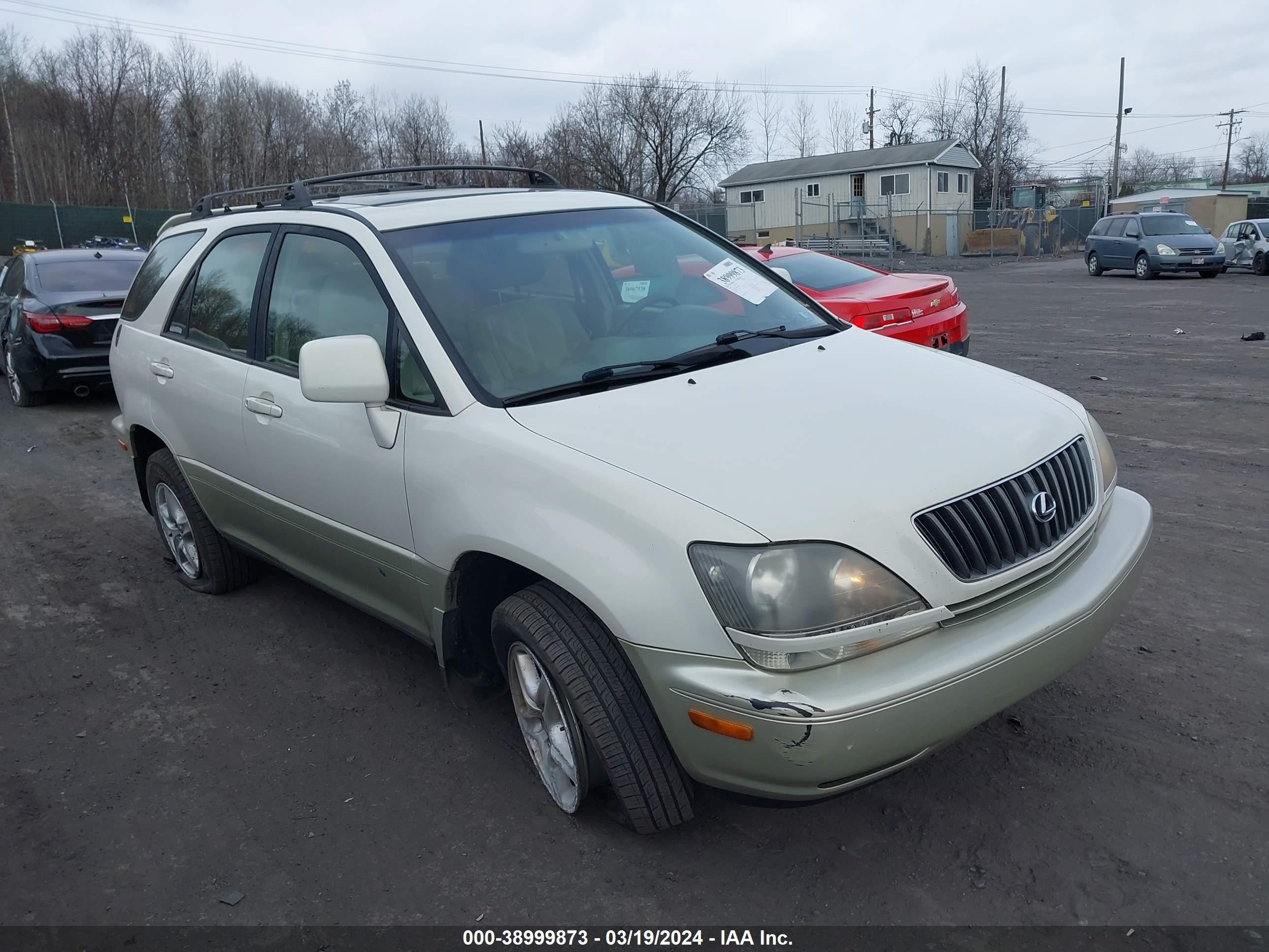 LEXUS RX 1999 jt6hf10u4x0020179