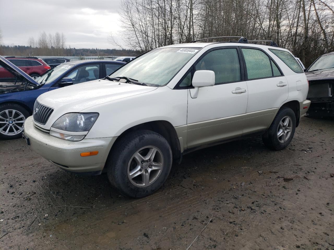 LEXUS RX 1999 jt6hf10u8x0051094