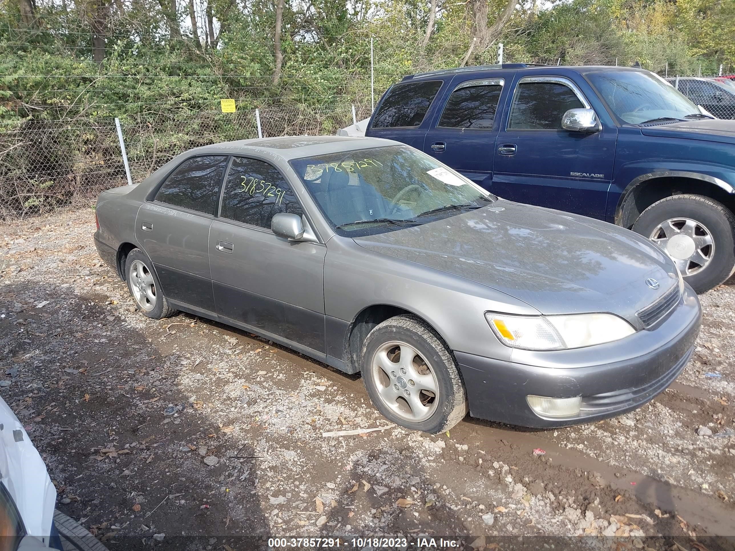 LEXUS ES 1999 jt8bf28g0x5067682