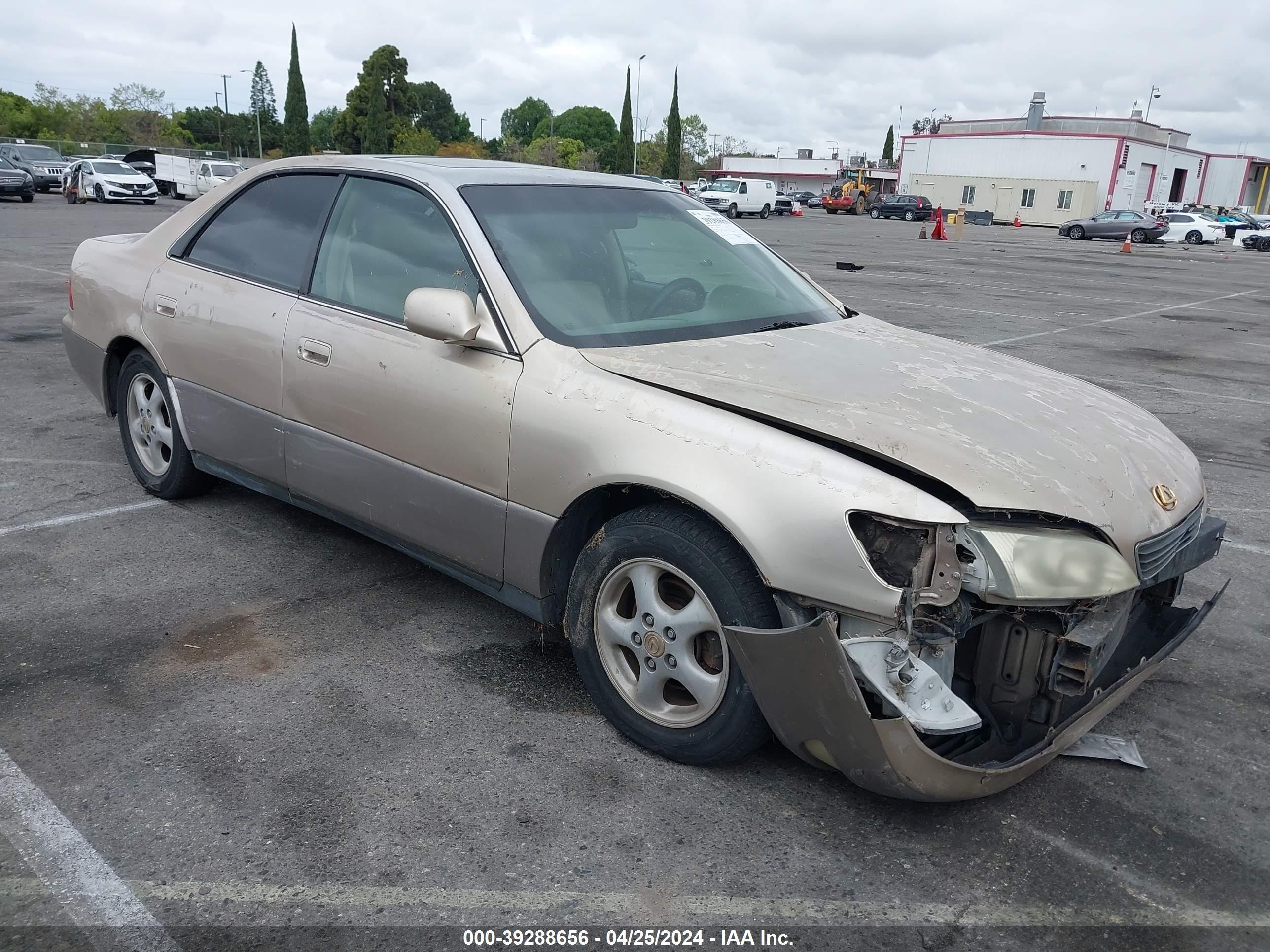 LEXUS ES 1998 jt8bf28g4w5031394