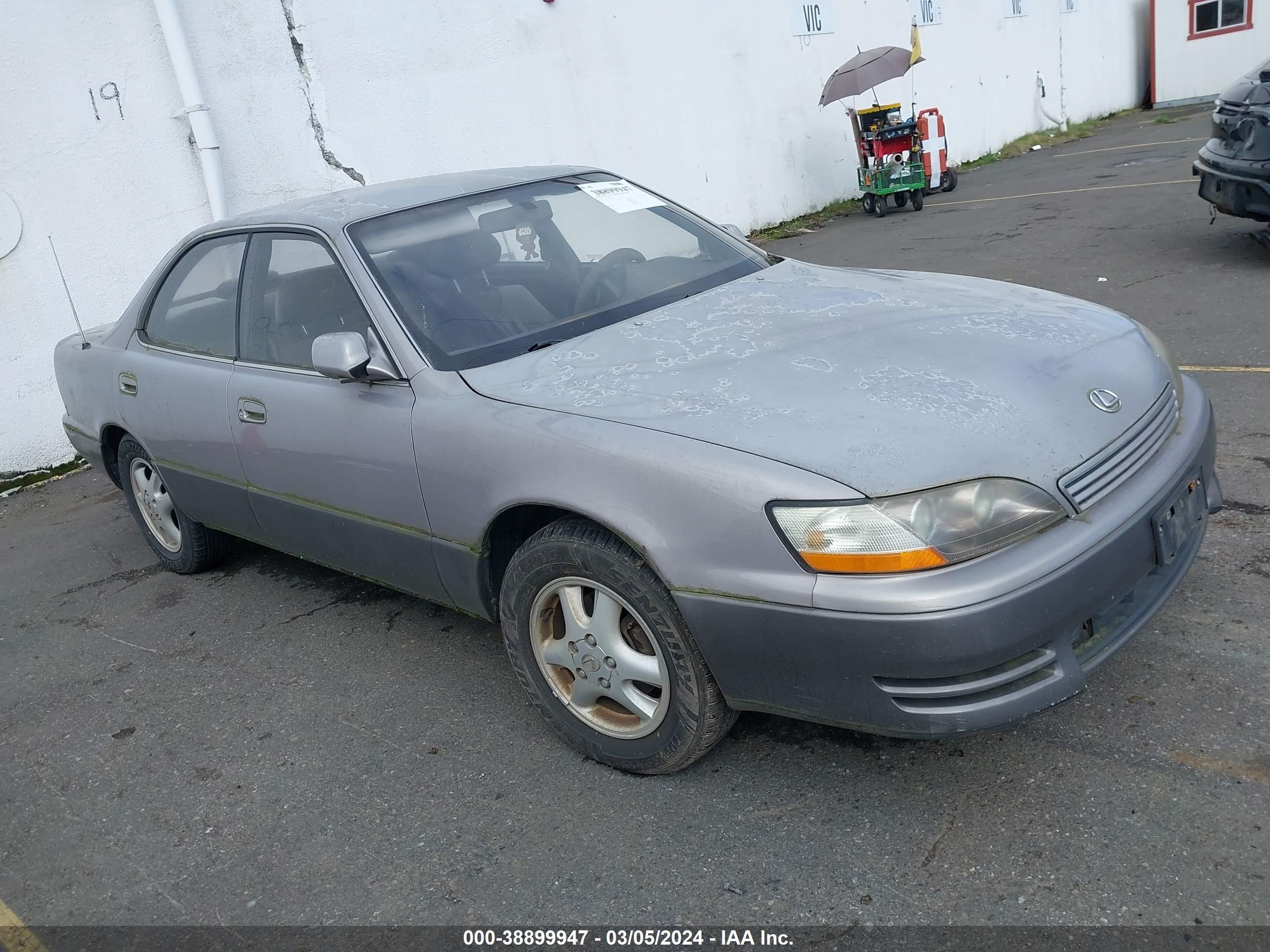 LEXUS ES 1995 jt8gk13t0s0122105