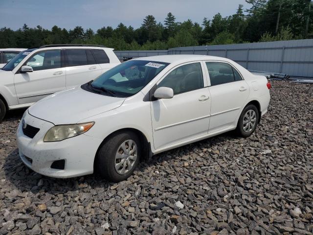 TOYOTA COROLLA 2009 jtdbl40e099039814