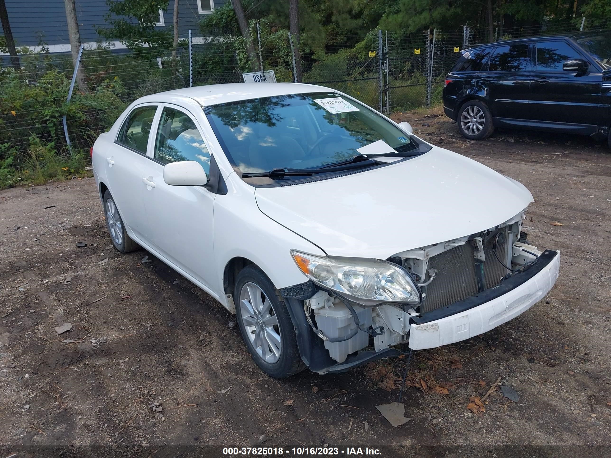 TOYOTA COROLLA 2009 jtdbl40e099044365