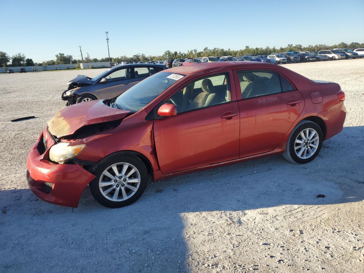 TOYOTA COROLLA 2009 jtdbl40e09j039956