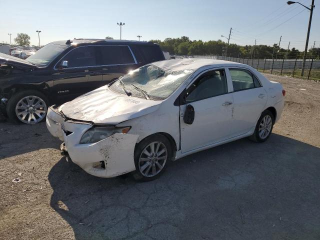 TOYOTA COROLLA 2009 jtdbl40e799073829