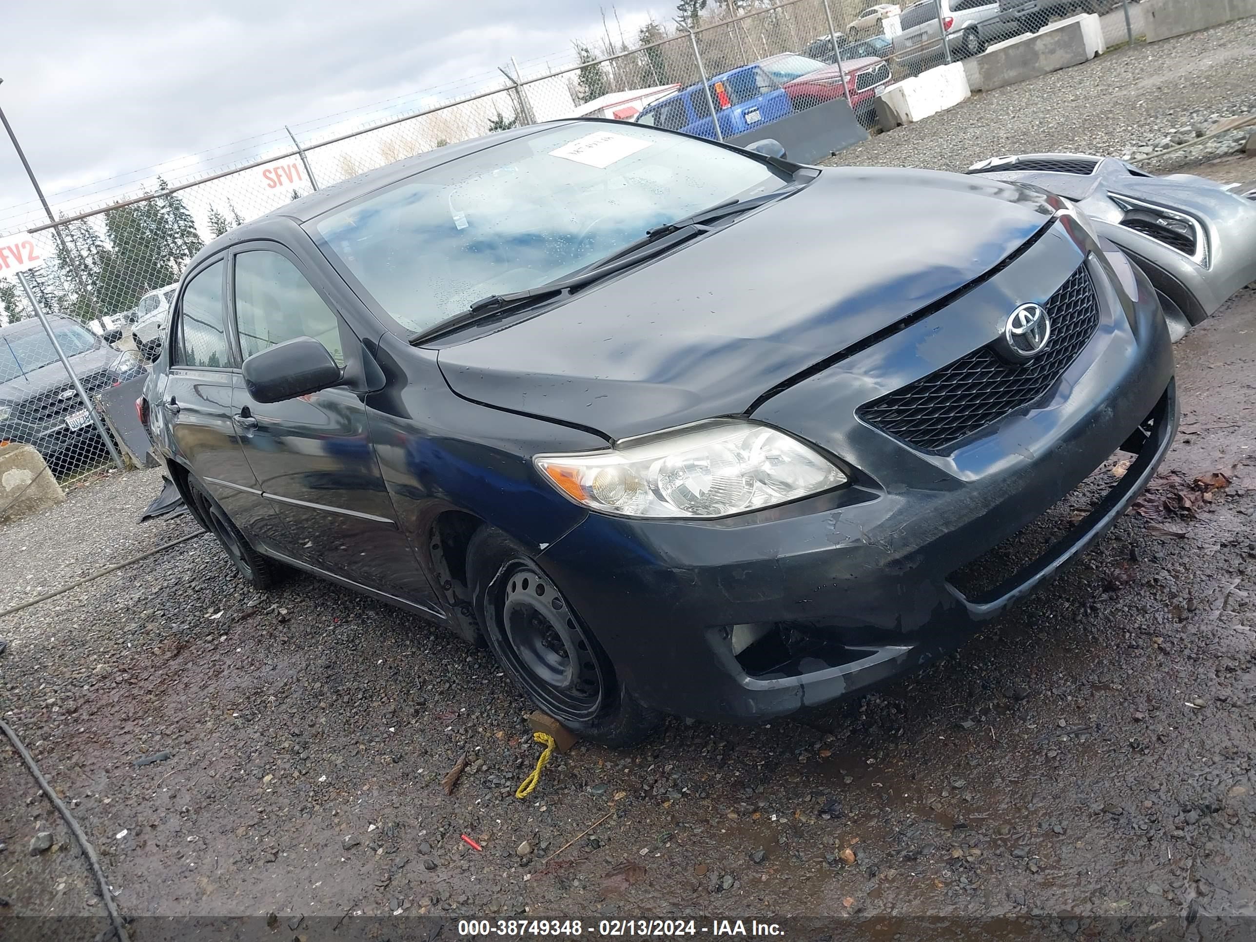 TOYOTA COROLLA 2009 jtdbl40e999029184