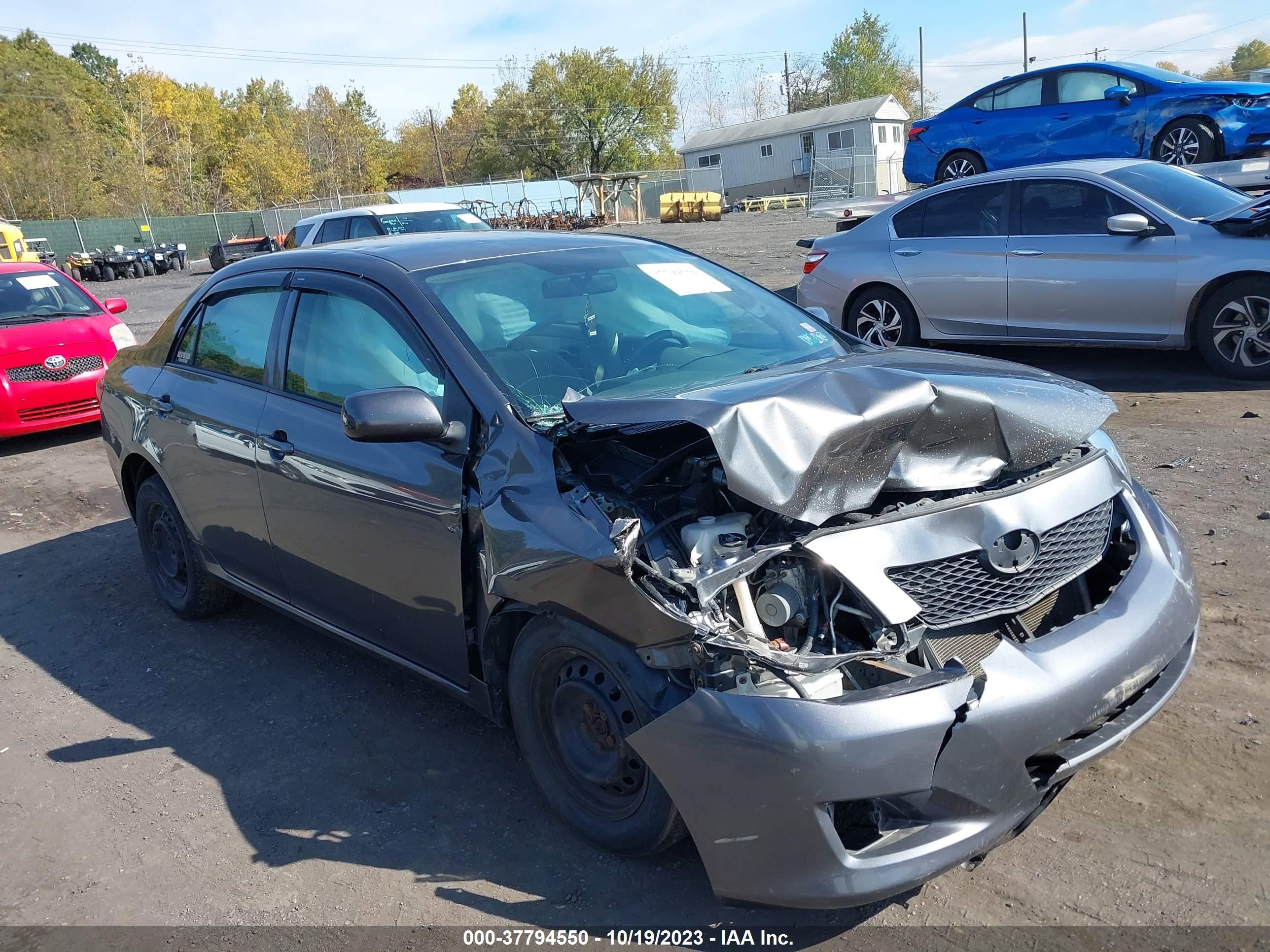 TOYOTA COROLLA 2009 jtdbl40e99j016174