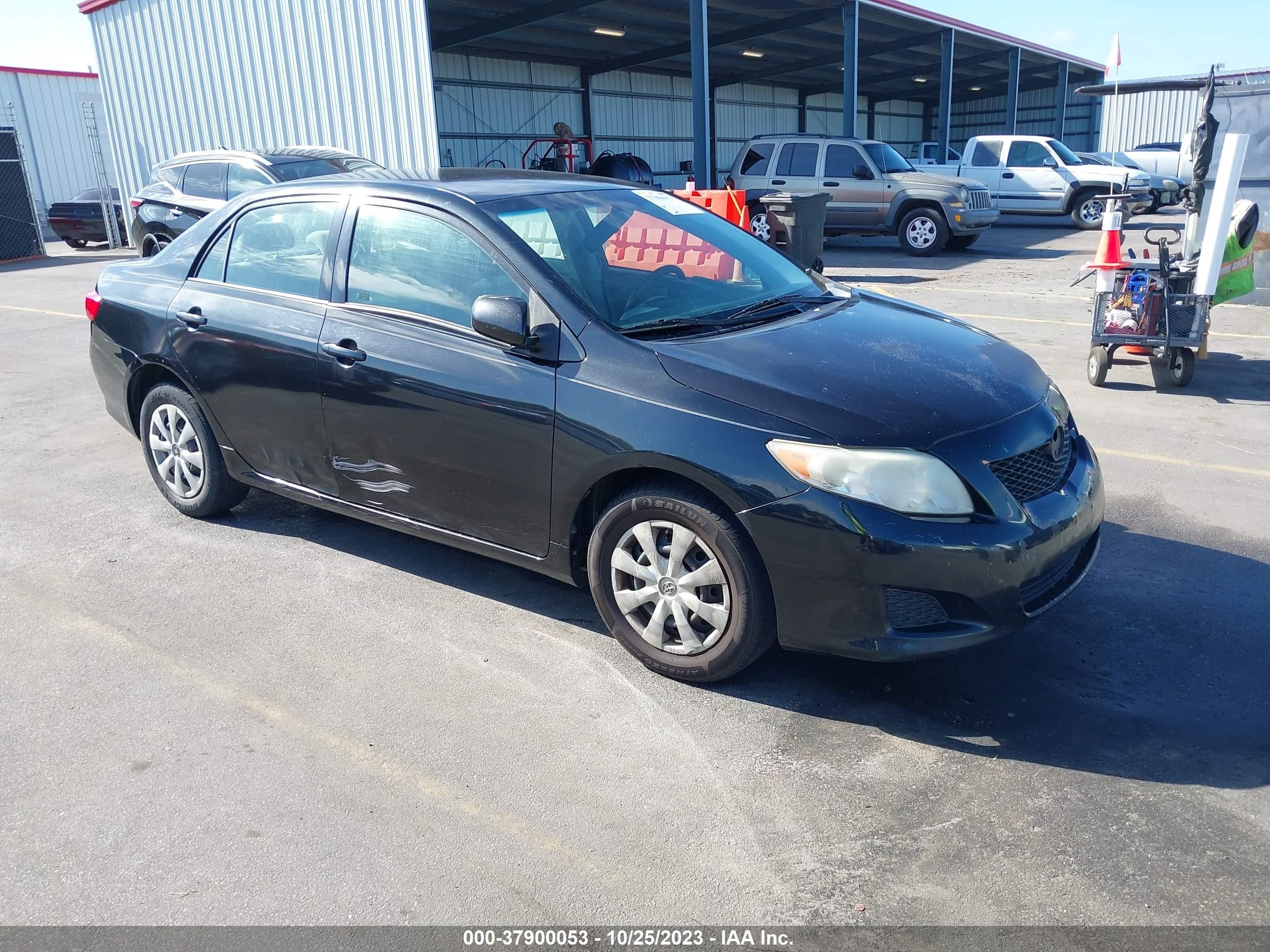 TOYOTA COROLLA 2009 jtdbl40e99j051250