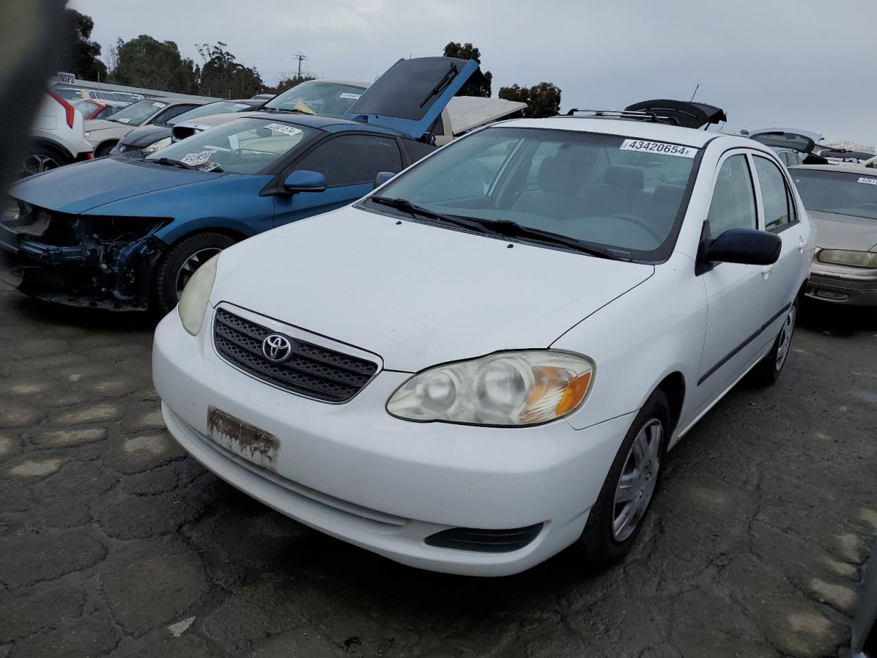 TOYOTA COROLLA 2005 jtdbr32ex52060856