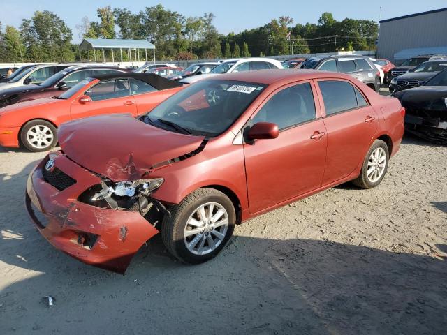 TOYOTA COROLLA BA 2010 jtdbu4ee0aj081361