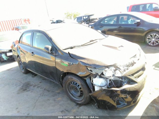 TOYOTA COROLLA 2011 jtdbu4ee6b9163341