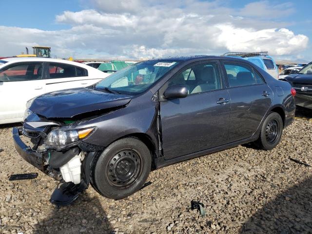 TOYOTA COROLLA 2011 jtdbu4ee9bj102242