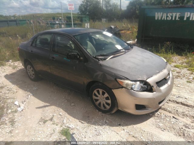 TOYOTA COROLLA 2010 jtdbu4eexaj063322