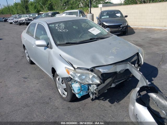 TOYOTA COROLLA 2010 jtdbu4eexaj073185