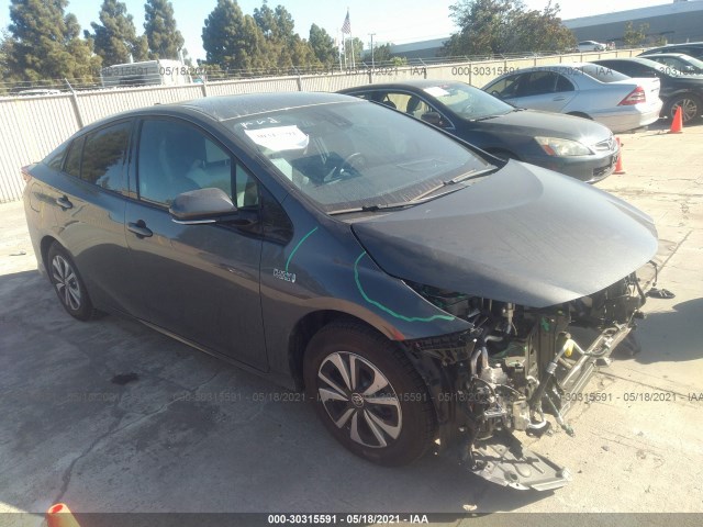 TOYOTA PRIUS PRIME 2019 jtdkarfp0k3116735