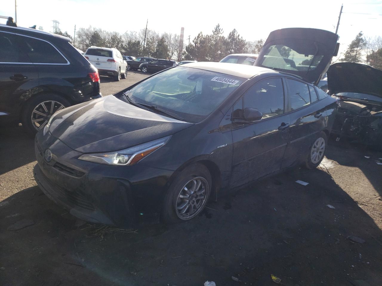 TOYOTA PRIUS 2019 jtdkarfu7k3083366