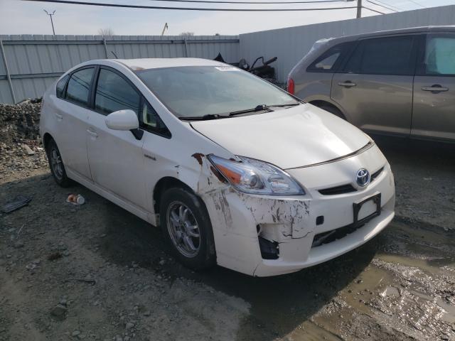 TOYOTA PRIUS 2010 jtdkn3du7a0177011