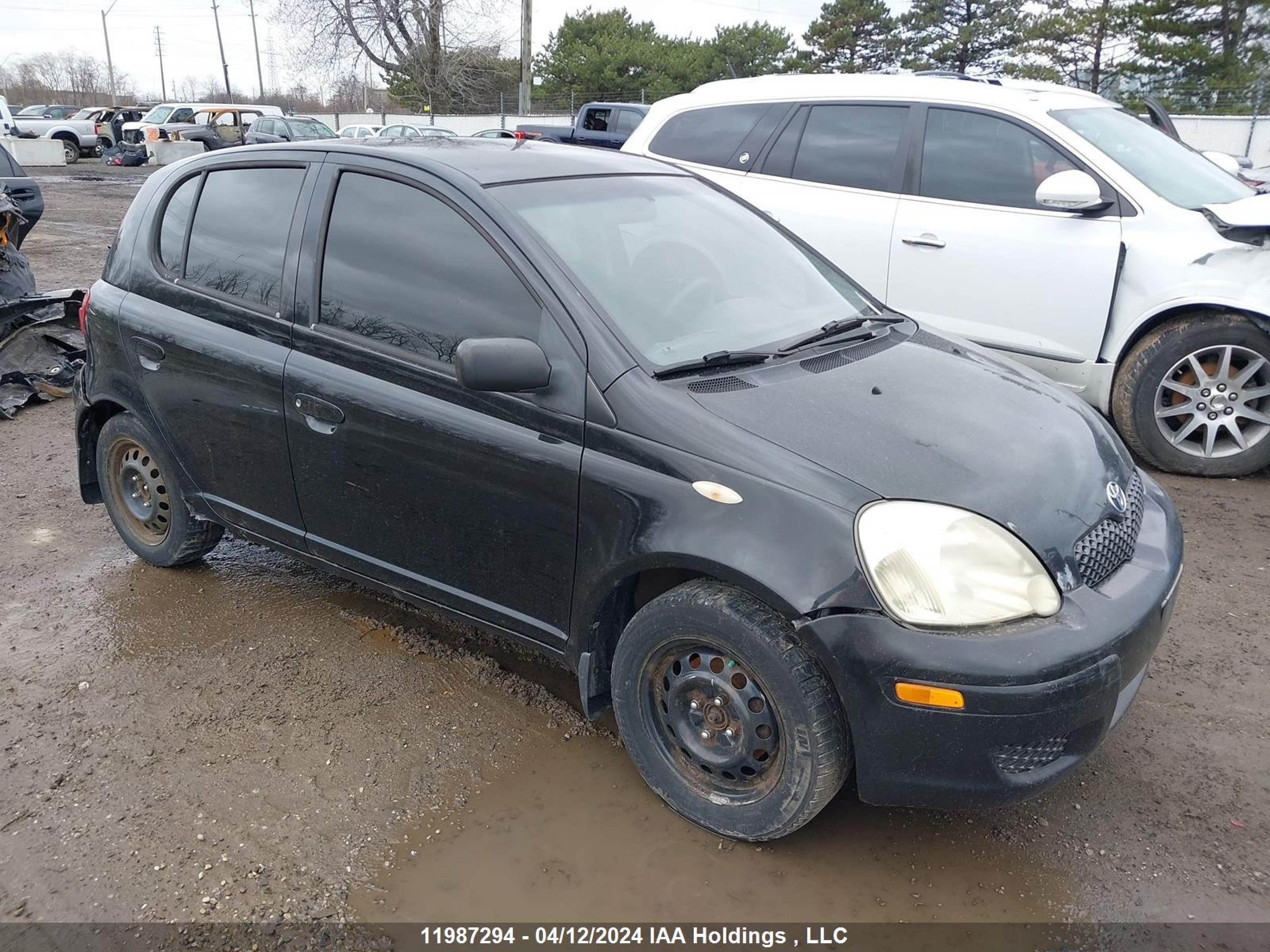 TOYOTA ECHO 2004 jtdkt123240055228