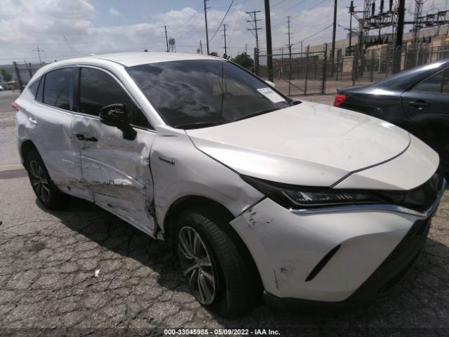 TOYOTA VENZA 2021 jteaaaah1mj073191