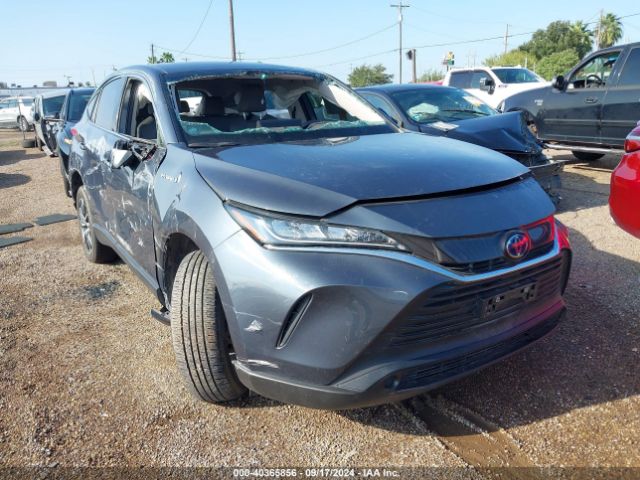 TOYOTA VENZA 2021 jteaaaah6mj037450