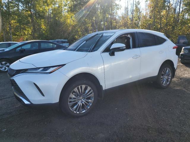 TOYOTA VENZA LE 2024 jteaaaahxrj161860