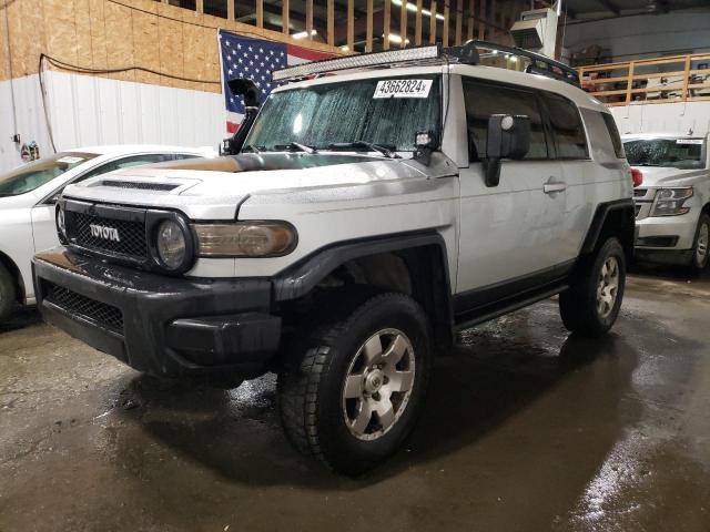 TOYOTA FJ CRUISER 2007 jtebu11f070024326