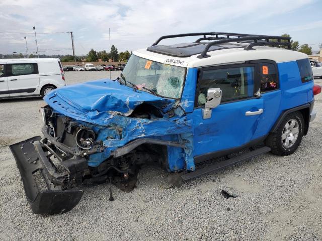 TOYOTA FJ CRUISER 2007 jtebu11f070042048