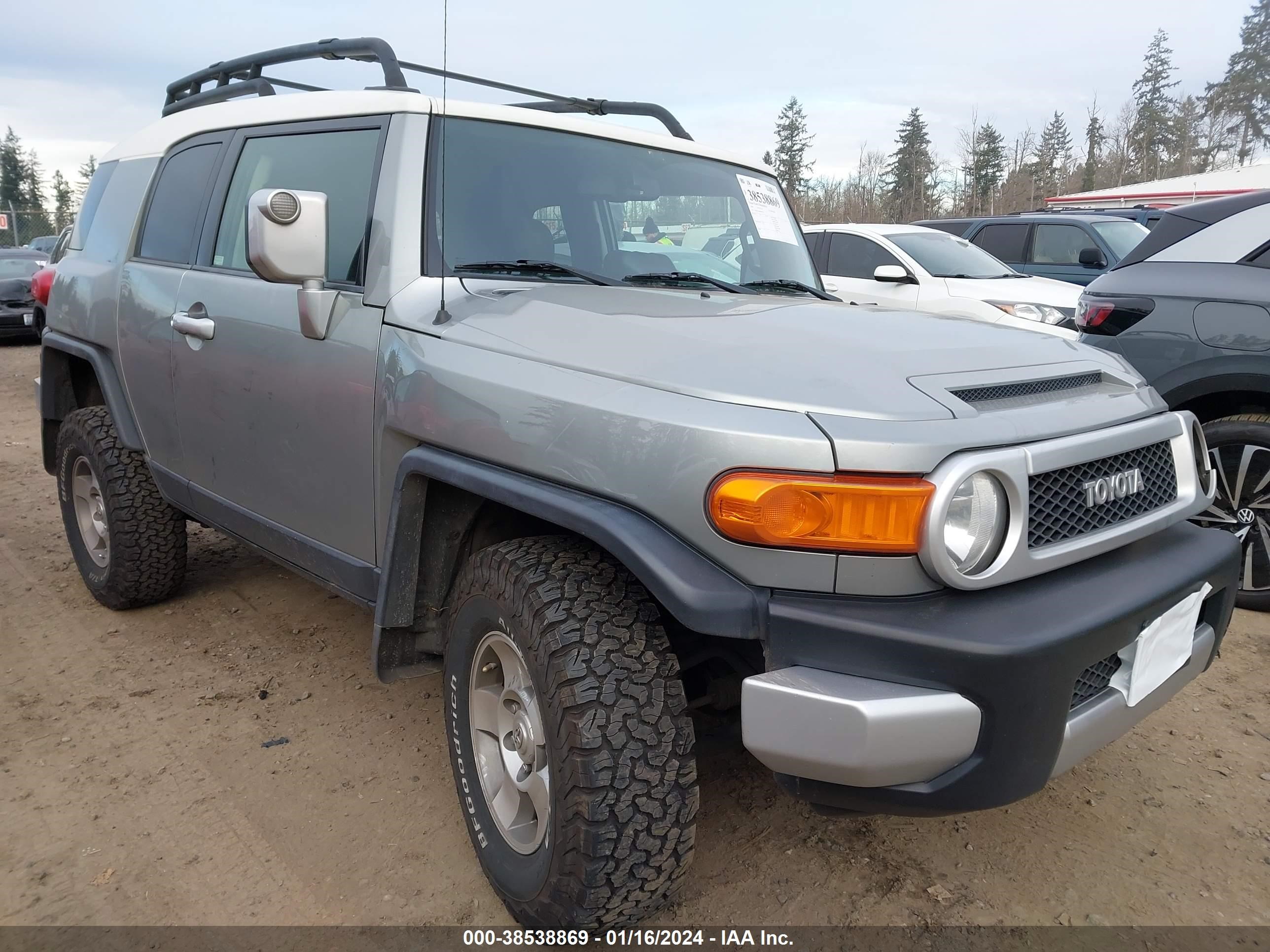 TOYOTA FJ CRUISER 2009 jtebu11f09k060234