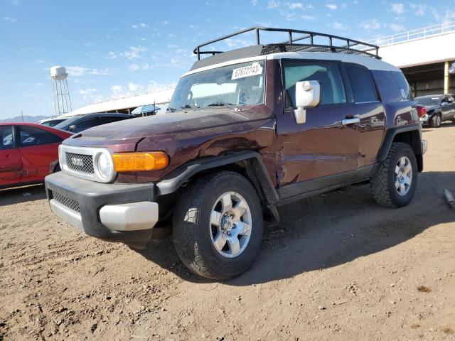 TOYOTA FJ CRUISER 2007 jtebu11f170038719