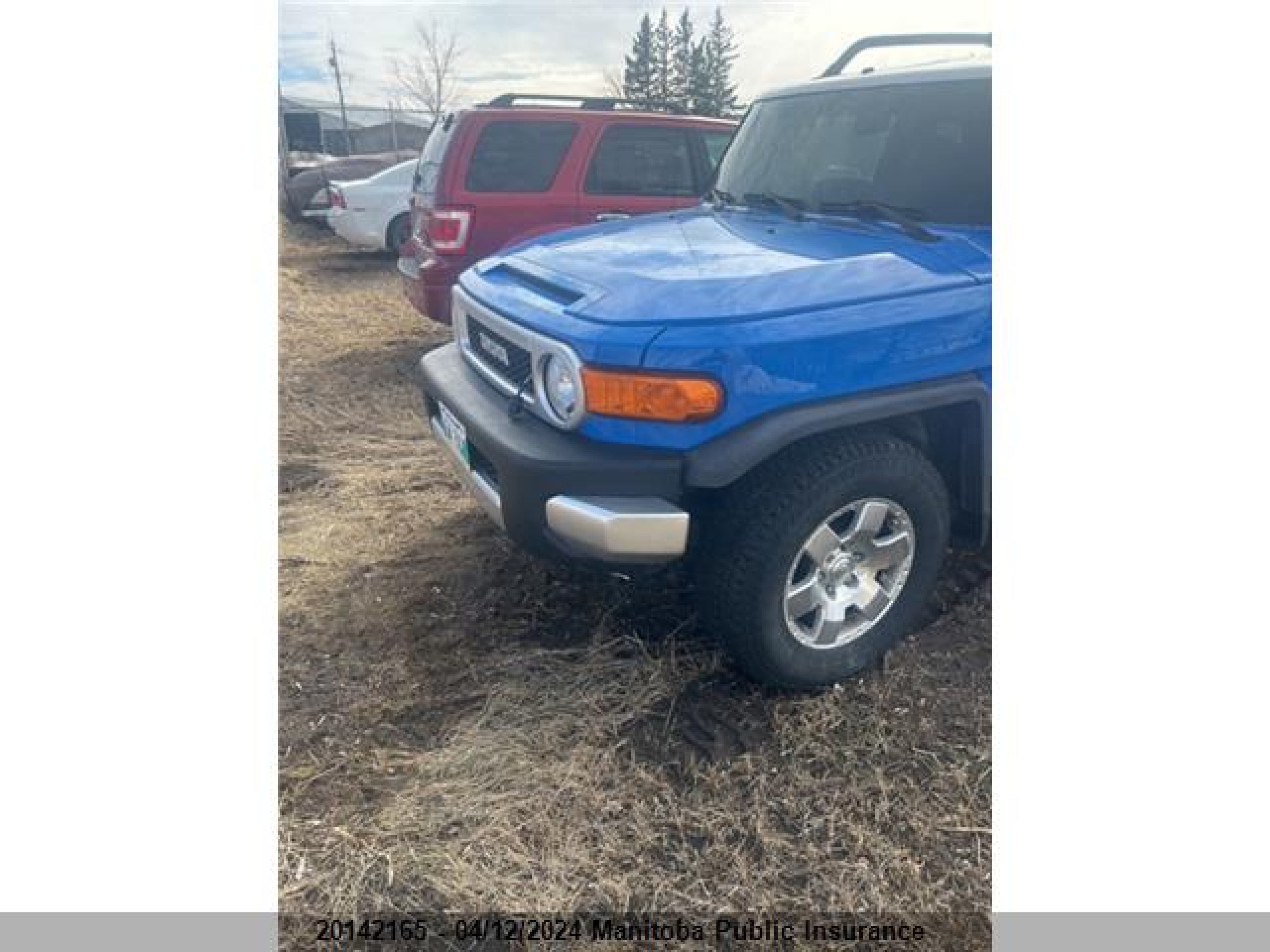 TOYOTA FJ CRUISER 2007 jtebu11f170051213