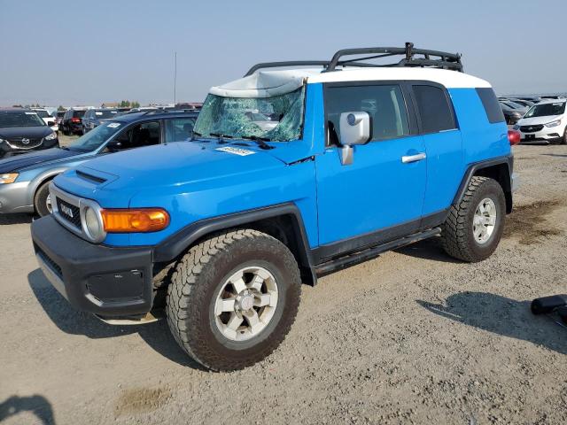 TOYOTA FJ CRUISER 2007 jtebu11f170087483