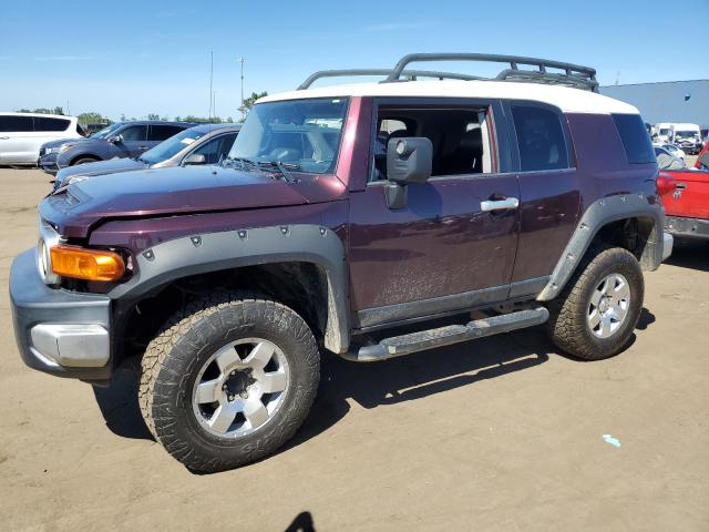 TOYOTA FJ CRUISER 2007 jtebu11f270015739