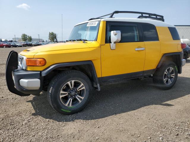 TOYOTA FJ CRUISER 2007 jtebu11f270040723