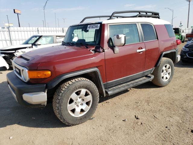 TOYOTA FJ CRUISER 2009 jtebu11f29k067914