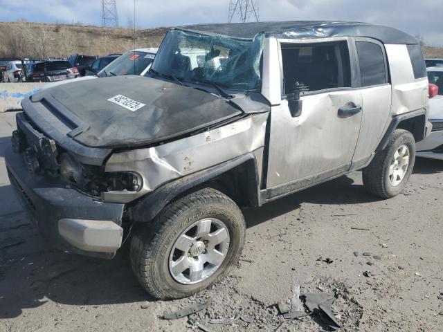 TOYOTA FJ CRUISER 2007 jtebu11f370039175