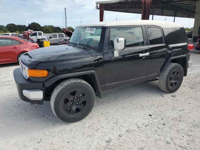 TOYOTA FJ CRUISER 2009 jtebu11f39k069719