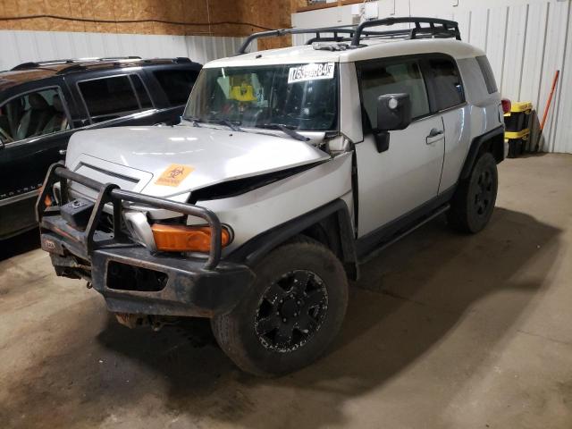 TOYOTA FJ CRUISER 2007 jtebu11f470016150