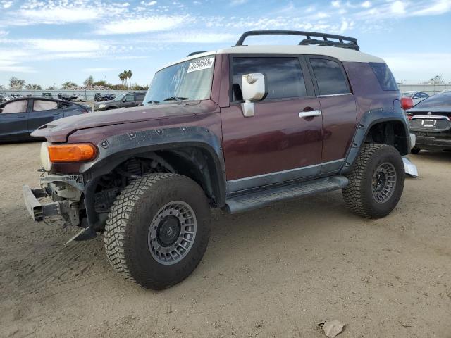 TOYOTA FJ CRUISER 2007 jtebu11f470053988