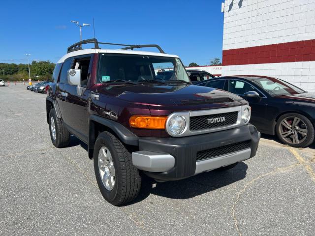 TOYOTA FJ CRUISER 2007 jtebu11f470086411