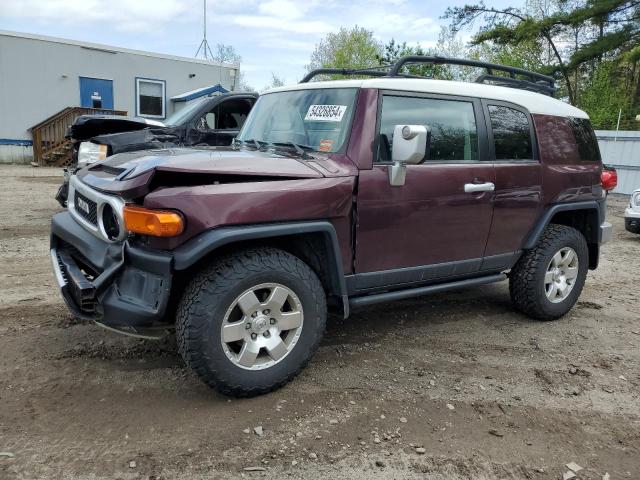 TOYOTA FJ CRUISER 2007 jtebu11f570035807