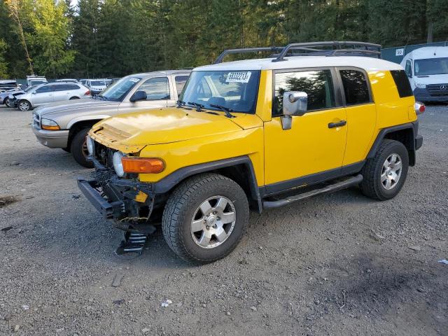 TOYOTA FJ CRUISER 2007 jtebu11f570081900