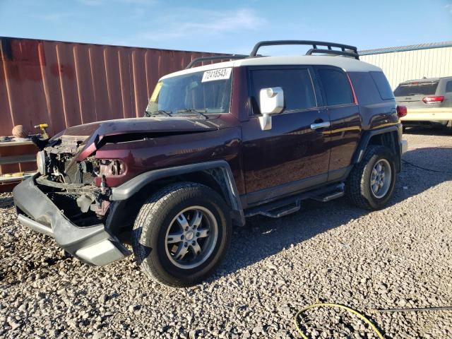 TOYOTA FJ CRUISER 2007 jtebu11f570093836