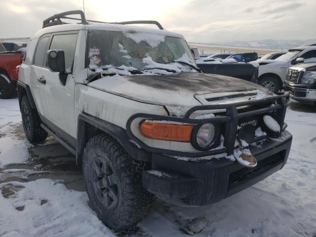 TOYOTA FJ CRUISER 2008 jtebu11f58k028927