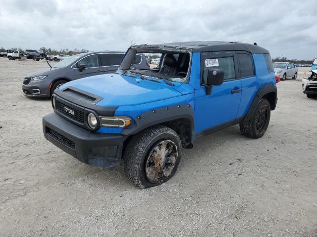 TOYOTA FJ CRUISER 2007 jtebu11f670013041