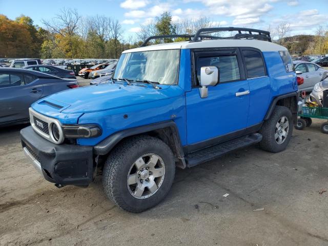 TOYOTA FJ CRUISER 2007 jtebu11f670015288